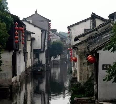 逃离大犀牛出没地